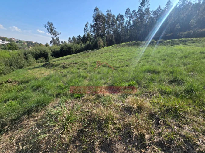 Terreno para Venda em Águeda e Borralha Foto 12