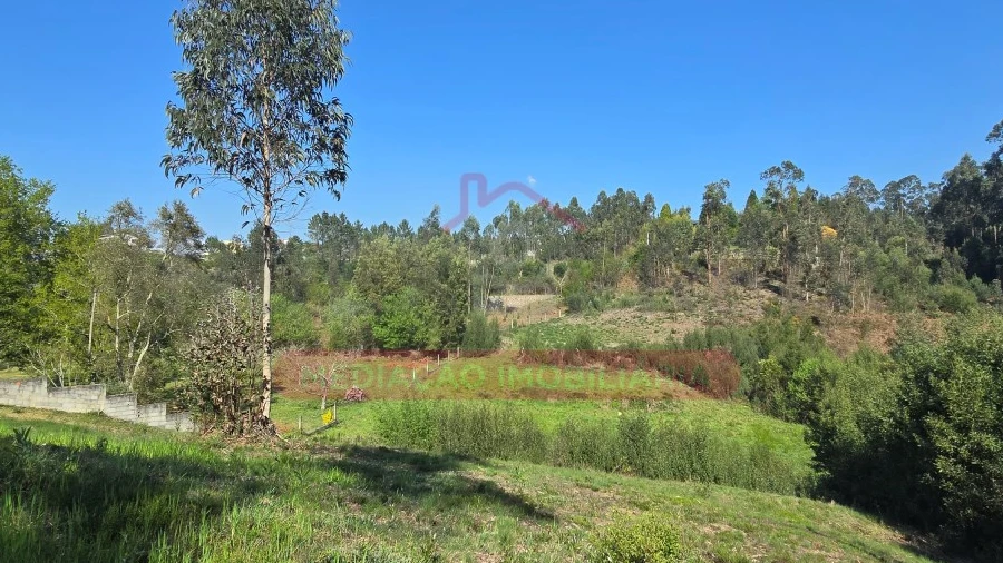 Terreno para Venda em Águeda e Borralha