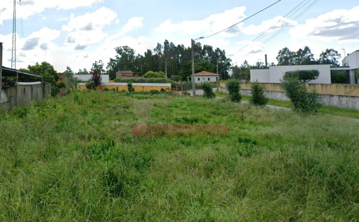 Terreno para Venda em Águeda e Borralha Foto 3