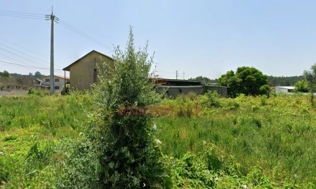 Terreno para Venda em Águeda e Borralha