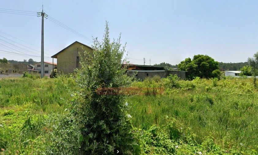 Terreno para Venda em Águeda e Borralha Foto 4