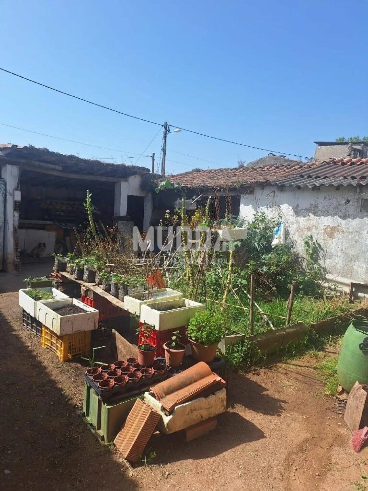 Armazém para Venda em Peral Foto 9