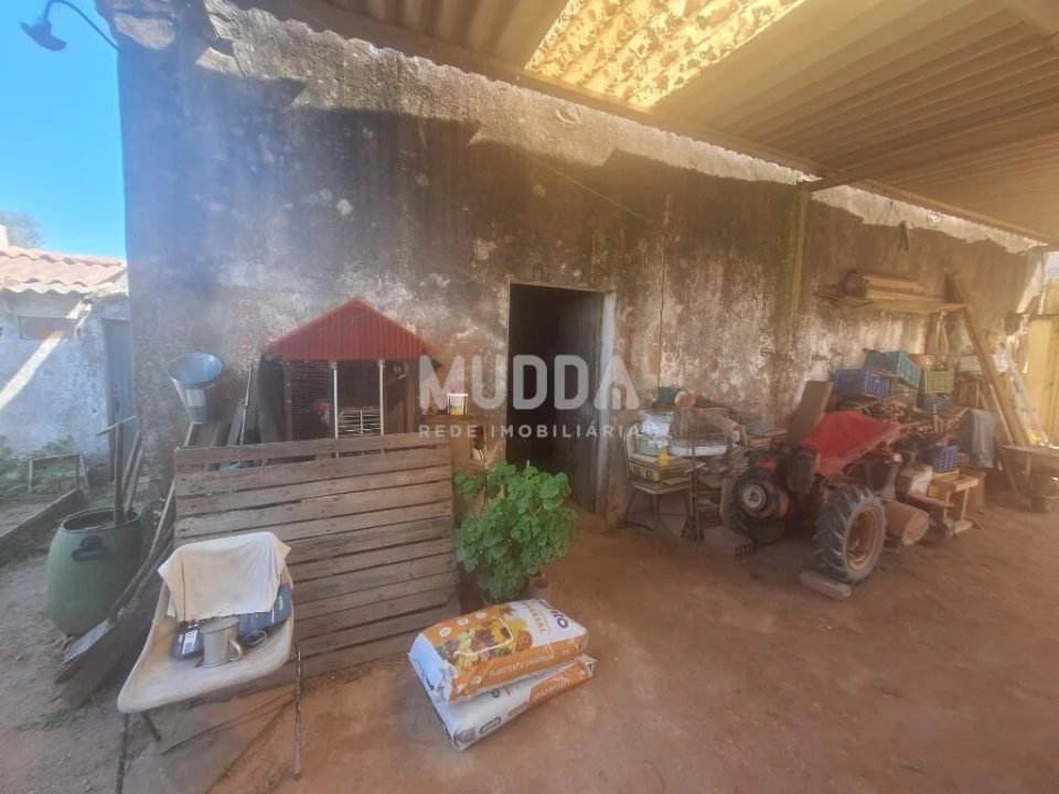 Armazém para Venda em Peral Foto 10