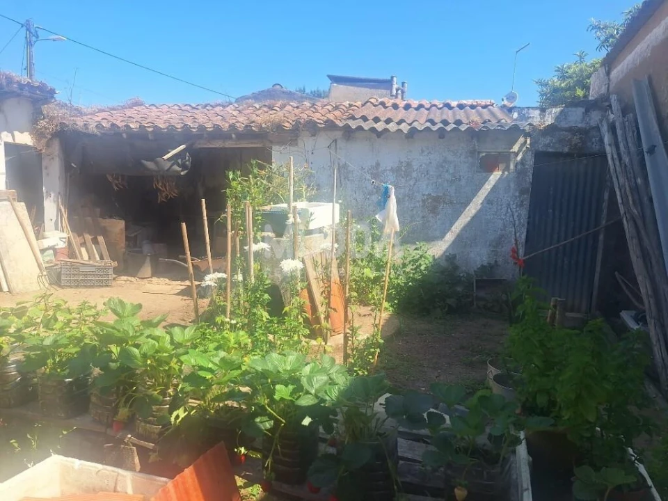 Armazém para Venda em Peral Foto 11