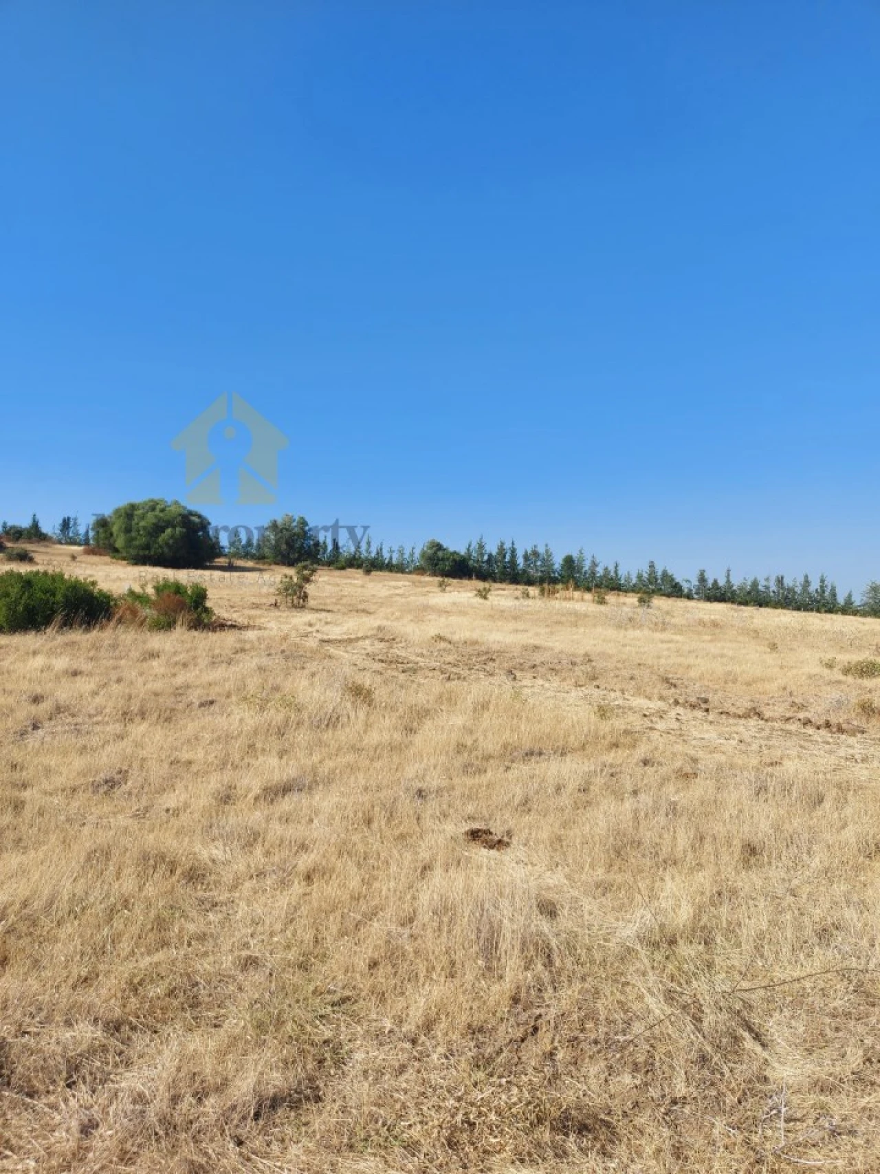 Quinta para Venda em Alfundão e Peroguarda Foto 3