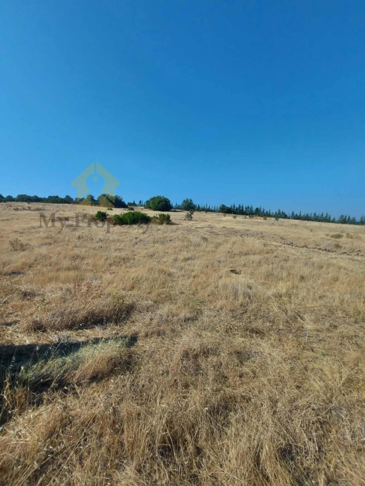 Quinta para Venda em Alfundão e Peroguarda Foto 7