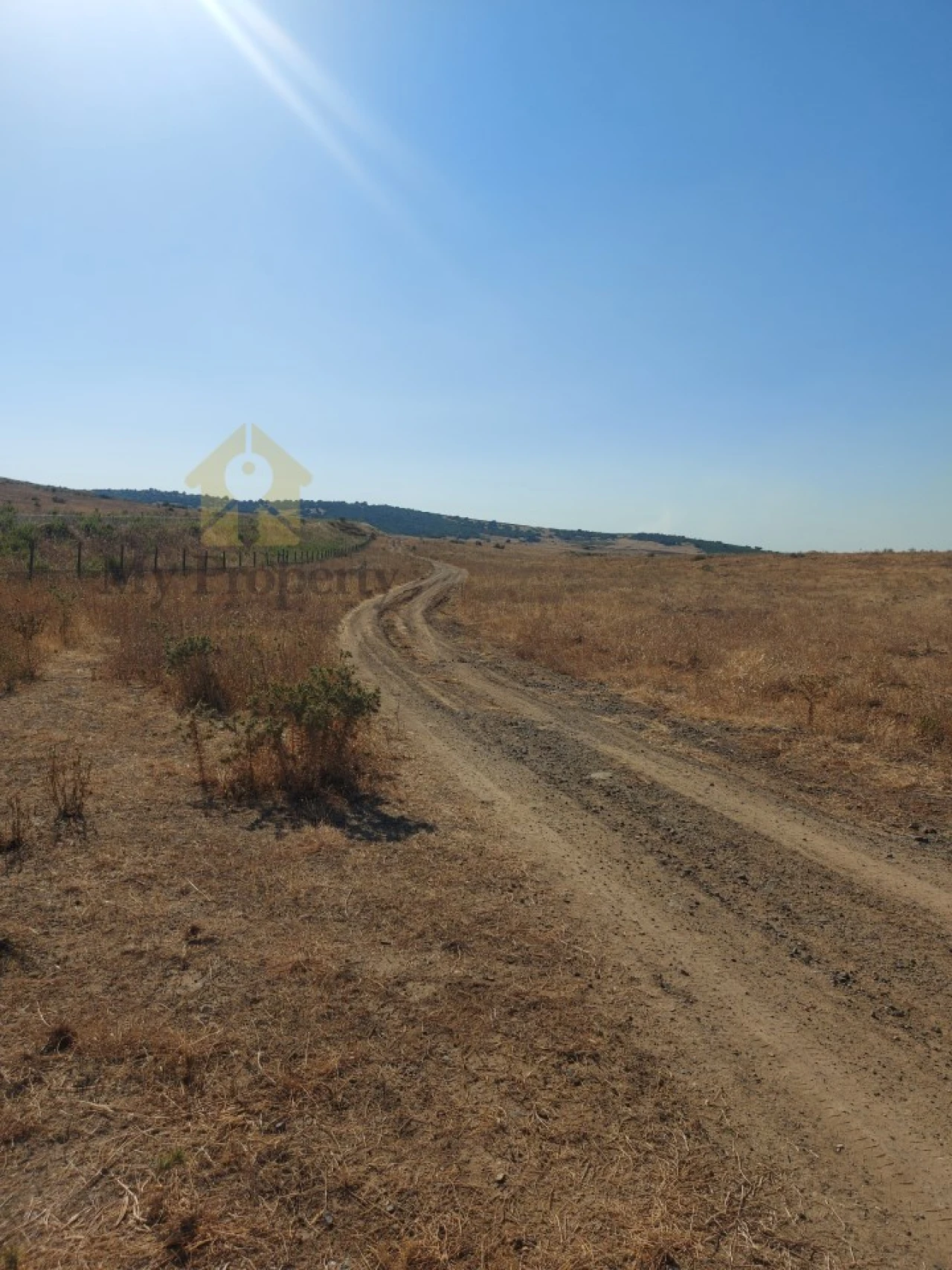 Quinta para Venda em Alfundão e Peroguarda Foto 8