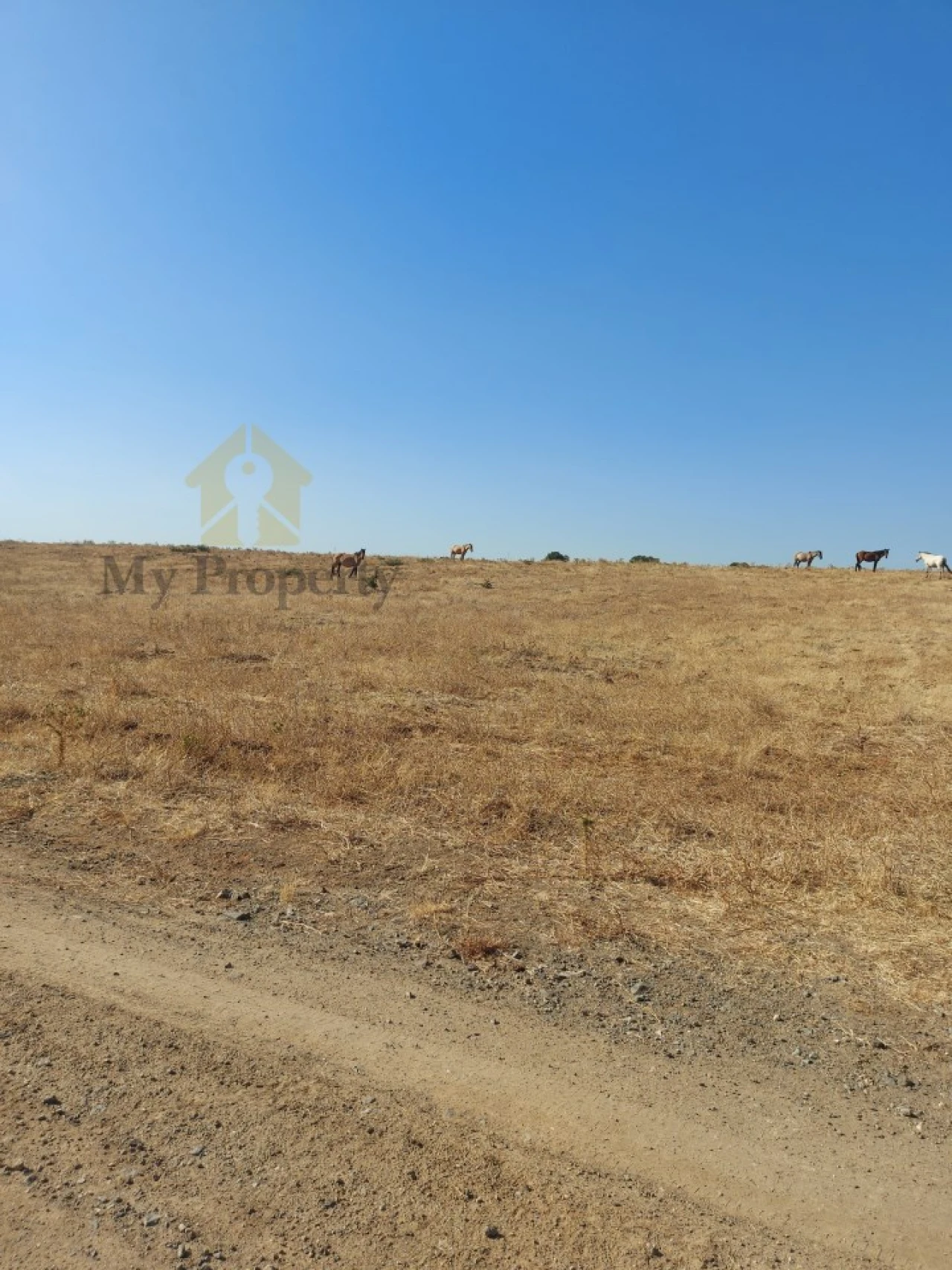 Quinta para Venda em Alfundão e Peroguarda Foto 9
