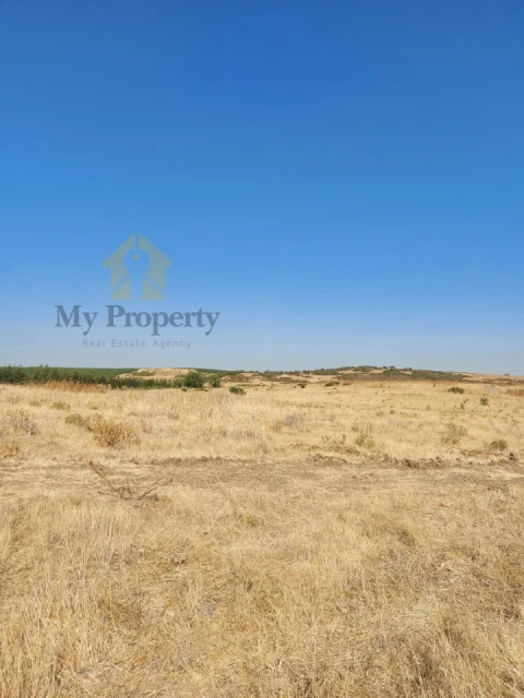 Quinta para Venda em Alfundão e Peroguarda