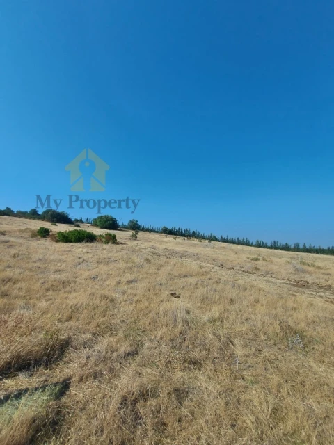 Quinta para Venda em Alfundão e Peroguarda