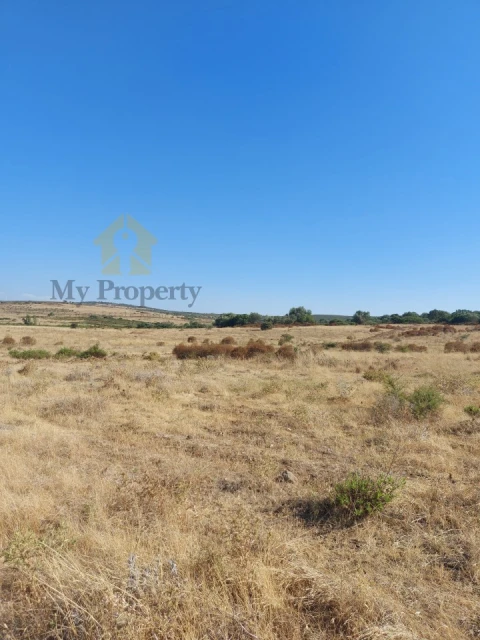 Quinta para Venda em Alfundão e Peroguarda