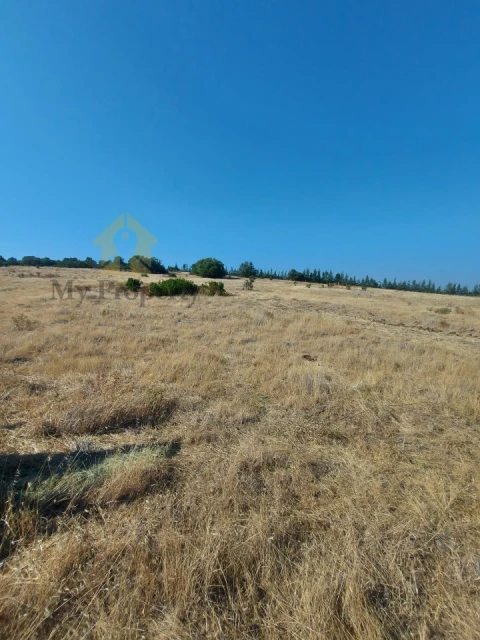 Quinta para Venda em Alfundão e Peroguarda