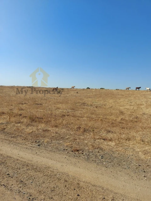 Quinta para Venda em Alfundão e Peroguarda