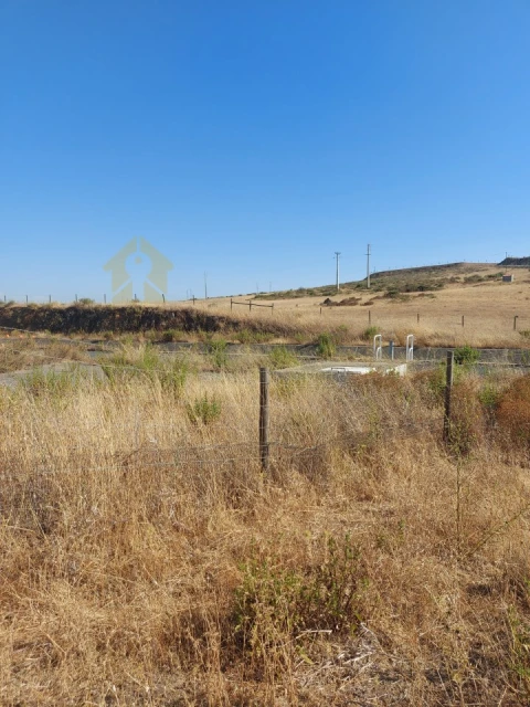 Quinta para Venda em Alfundão e Peroguarda