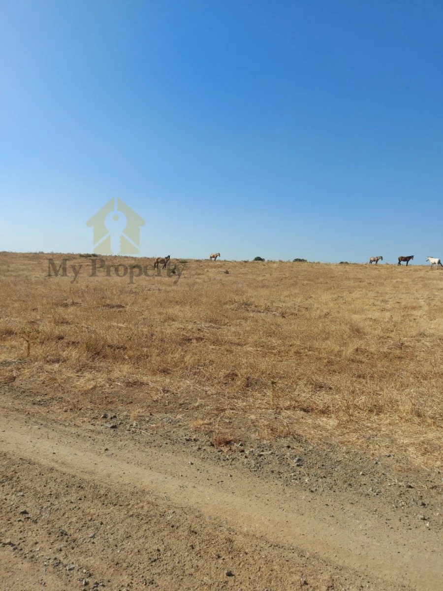 Quinta para Venda em Alfundão e Peroguarda Foto 9