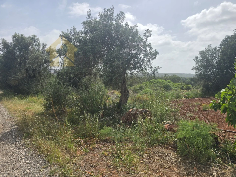 Terreno Agricola ou Rústico para Venda em Paderne Foto 1