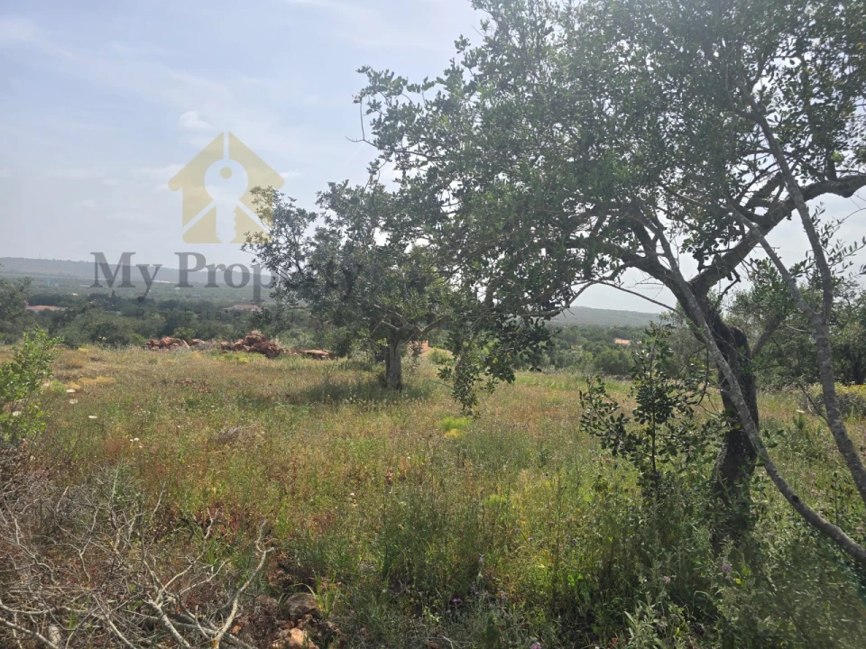 Terreno Agricola ou Rústico para Venda em Paderne Foto 2