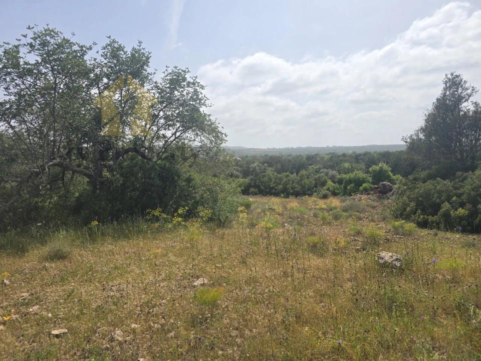 Terreno Agricola ou Rústico para Venda em Paderne Foto 3