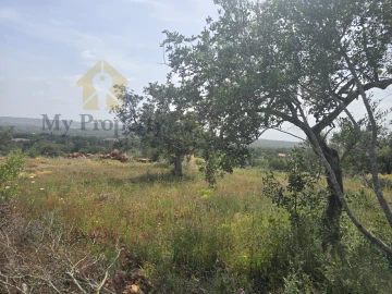 Terreno Agricola ou Rústico para Venda em Paderne