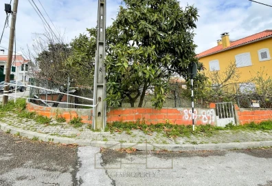 Terreno para Venda em Amora