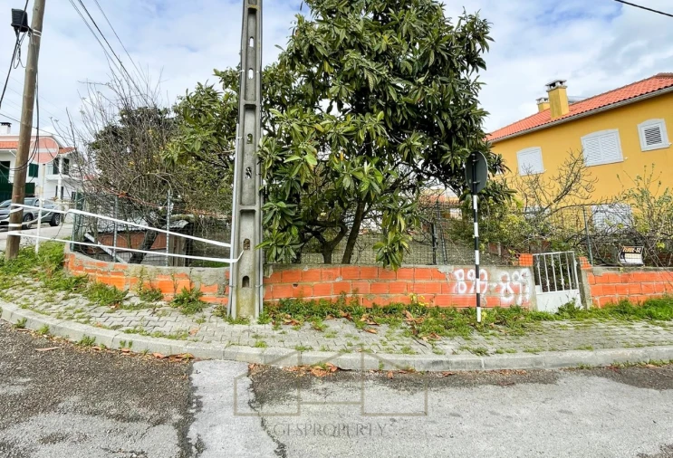 Terreno para Venda em Amora Foto 3
