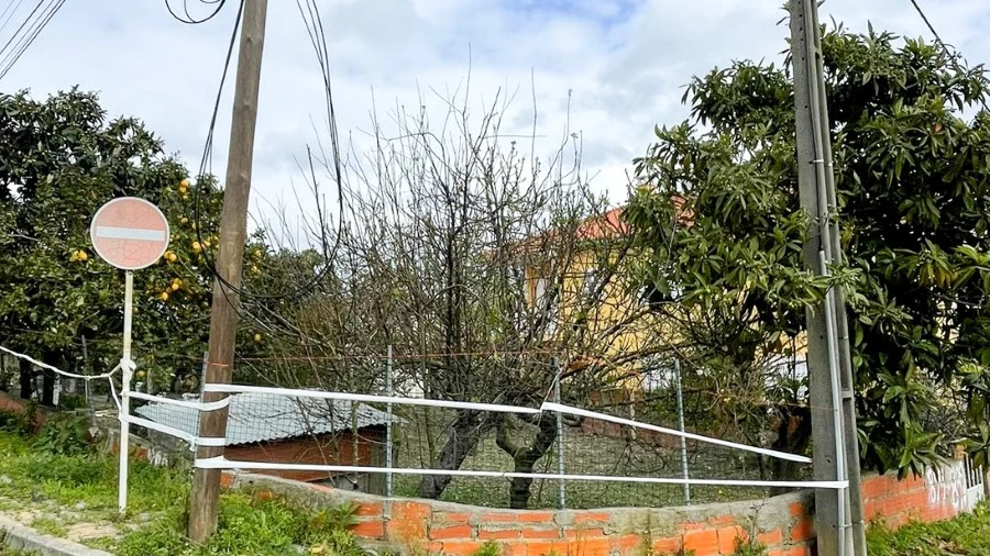 Terreno para Venda em Amora