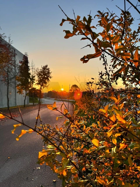 Prédio para Venda em Currelos, Papízios e Sobral