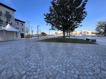 Prédio para Venda em Currelos, Papízios e Sobral