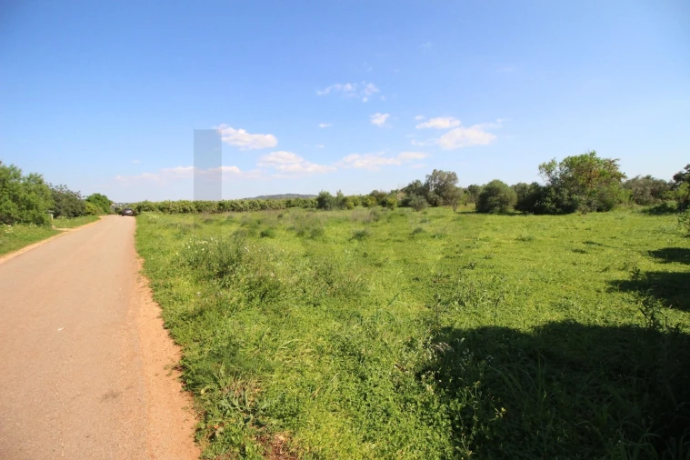 Terreno para Venda em Algoz e Tunes Foto 5