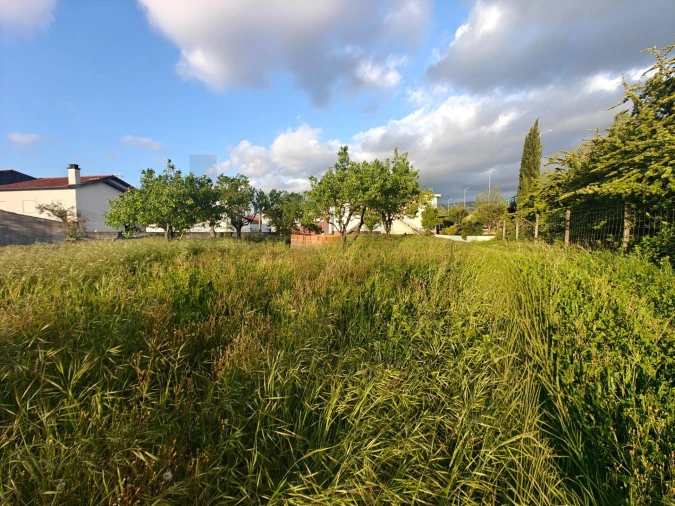 Terreno para Venda em Miranda do Corvo Foto 4