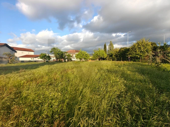 Terreno para Venda em Miranda do Corvo Foto 3