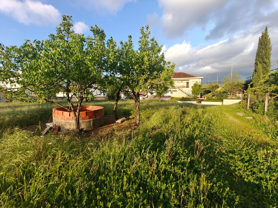 Terreno para Venda em Miranda do Corvo Foto 1