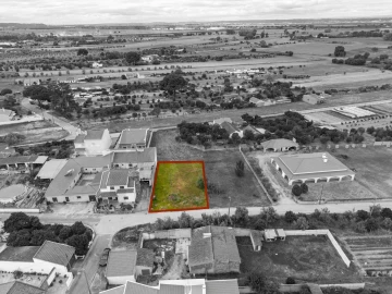 Terreno para Venda em Carregueira