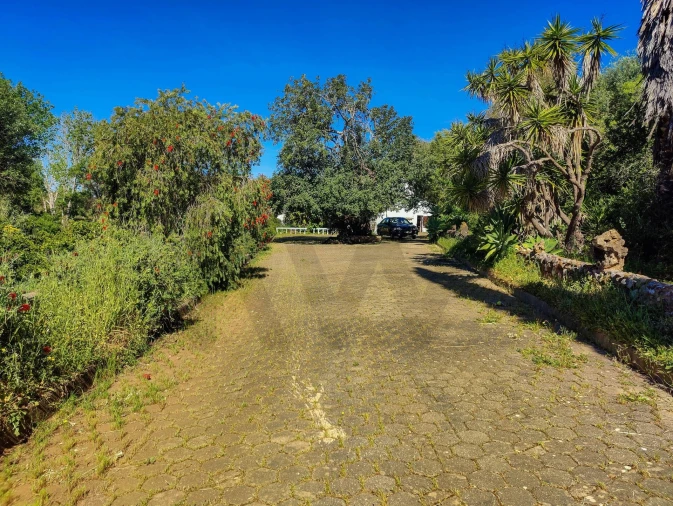 Quinta T3 para Venda em Mexilhoeira Grande Foto 32