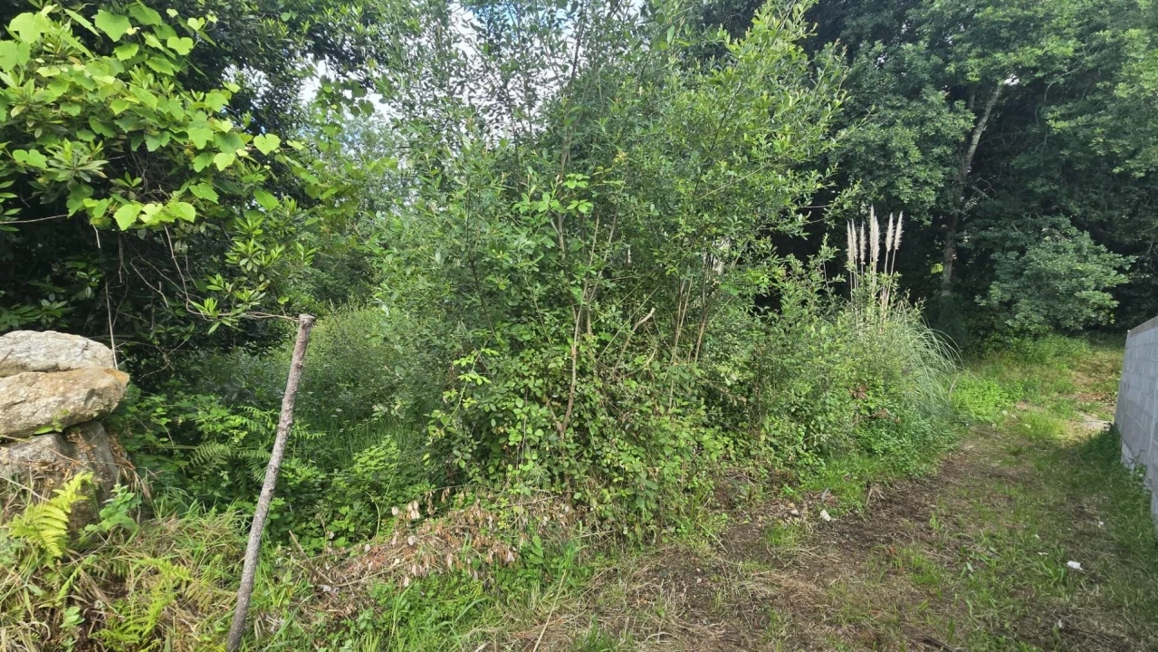 Terreno para Venda em O. Azeméis, Riba-Ul, Ul, Macinhata Seixa, Madail Foto 11
