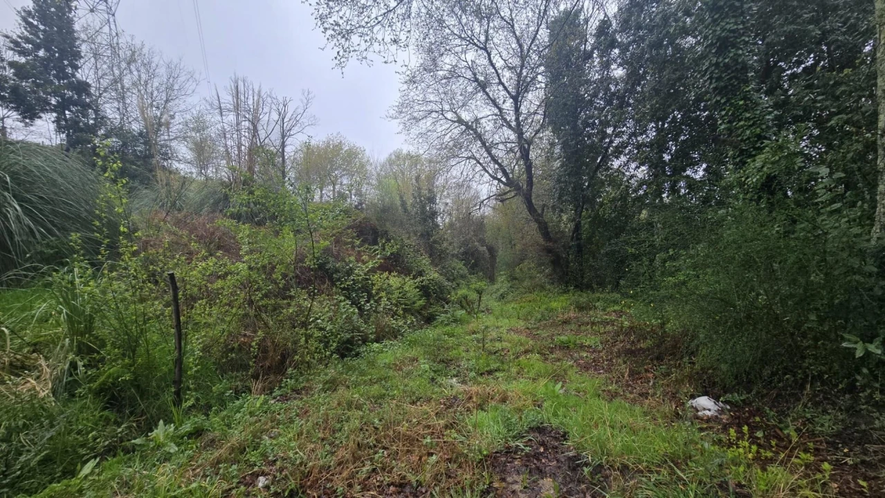 Terreno para Venda em O. Azeméis, Riba-Ul, Ul, Macinhata Seixa, Madail Foto 2
