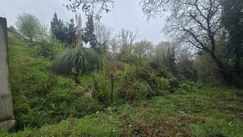 Terreno para Venda em O. Azeméis, Riba-Ul, Ul, Macinhata Seixa, Madail