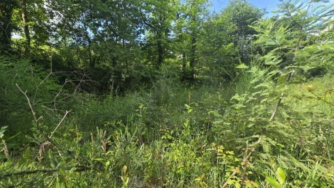 Terreno para Venda em O. Azeméis, Riba-Ul, Ul, Macinhata Seixa, Madail