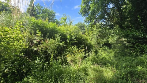Terreno para Venda em O. Azeméis, Riba-Ul, Ul, Macinhata Seixa, Madail