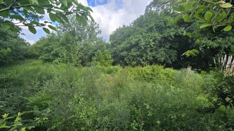 Terreno para Venda em O. Azeméis, Riba-Ul, Ul, Macinhata Seixa, Madail