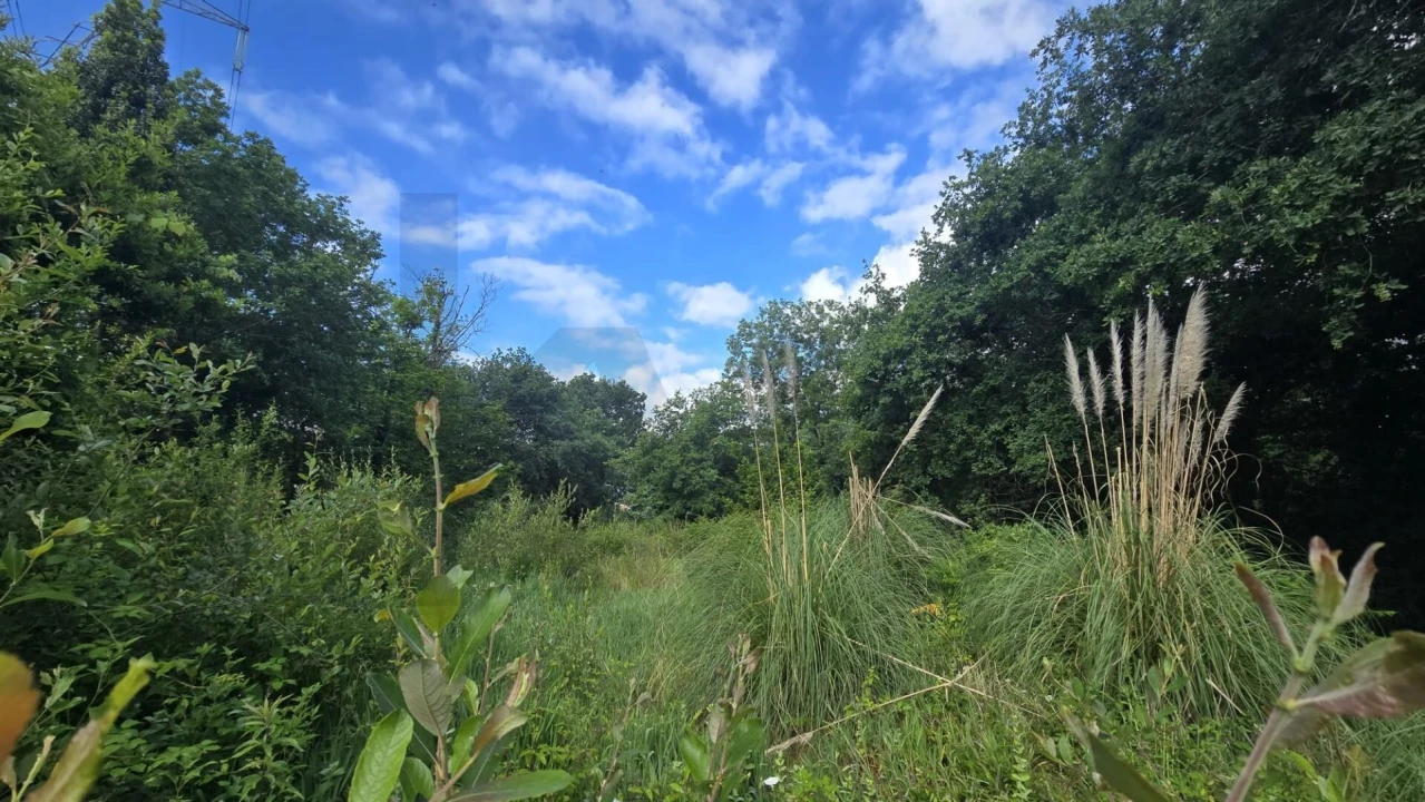 Terreno para Venda em O. Azeméis, Riba-Ul, Ul, Macinhata Seixa, Madail Foto 12