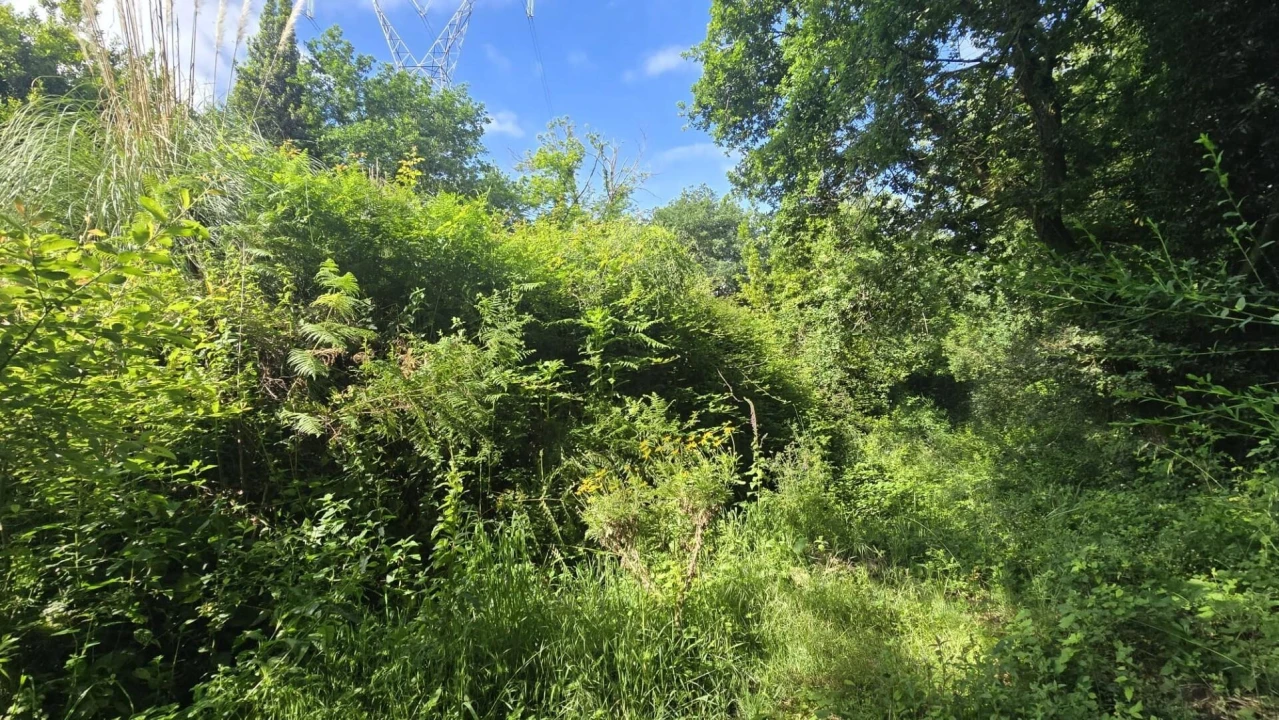 Terreno para Venda em O. Azeméis, Riba-Ul, Ul, Macinhata Seixa, Madail Foto 5