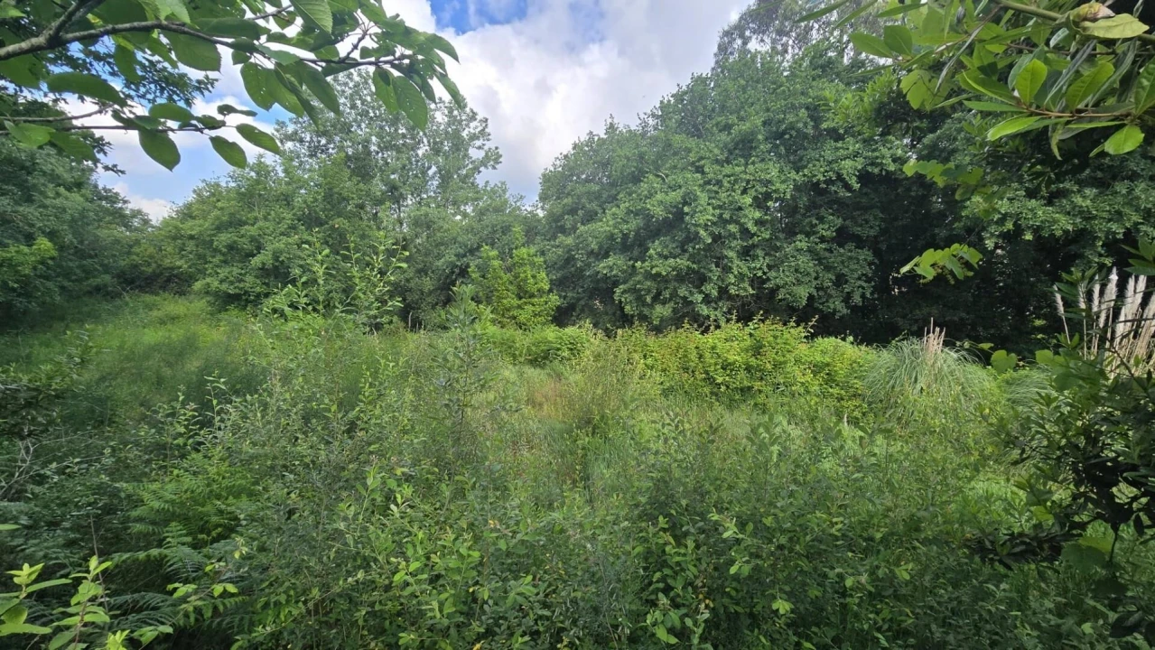 Terreno para Venda em O. Azeméis, Riba-Ul, Ul, Macinhata Seixa, Madail Foto 10
