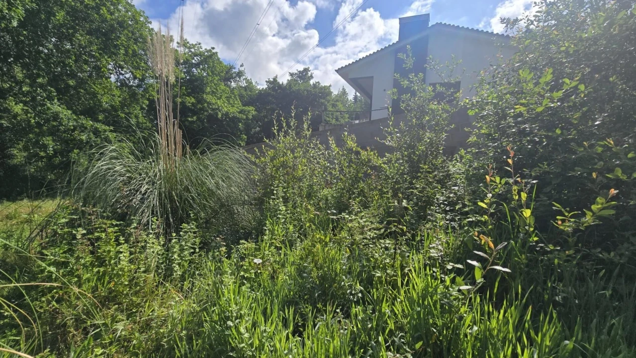 Terreno para Venda em O. Azeméis, Riba-Ul, Ul, Macinhata Seixa, Madail Foto 6