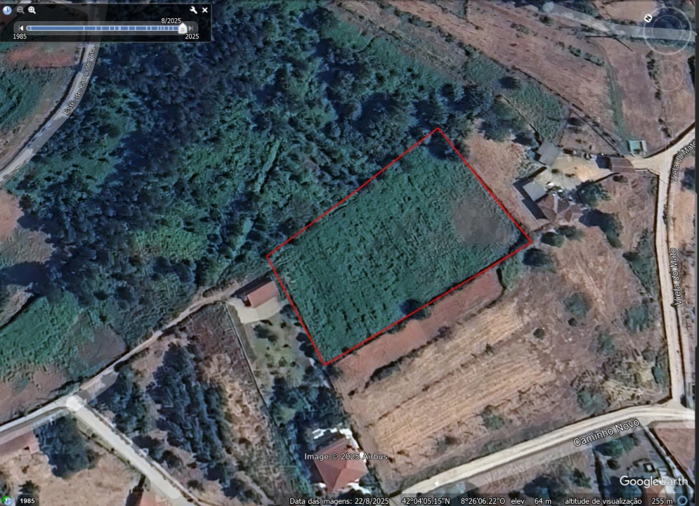 Terreno para Venda em Bela Foto 5