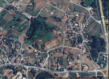 Terreno para Venda em Bela