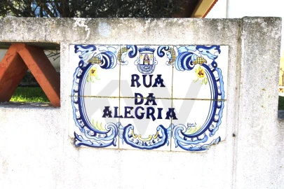 Terreno para Venda em São Pedro da Cadeira