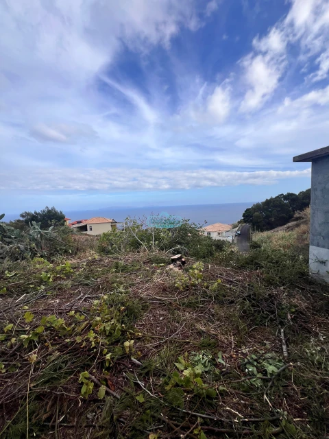 Moradia T2 para Venda em Gaula