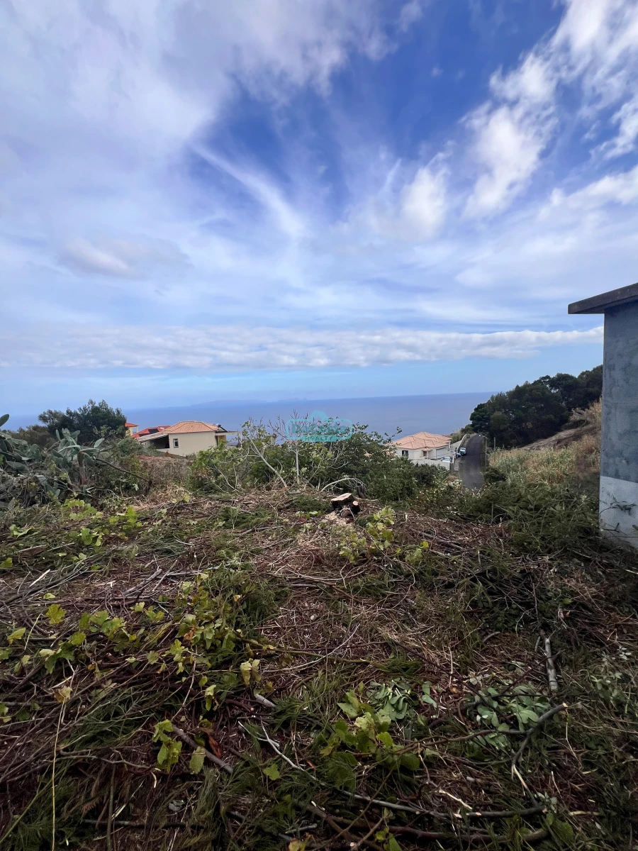 Moradia T2 para Venda em Gaula Foto 10