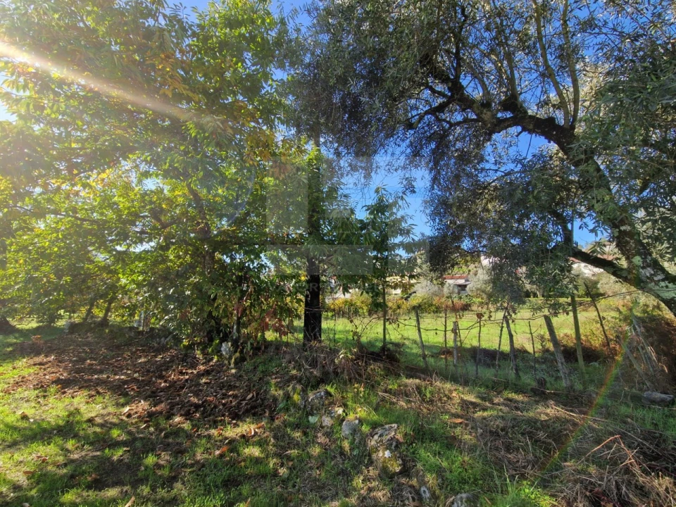 Moradia T3 para Venda em Couto de Baixo e Couto de Cima Foto 8